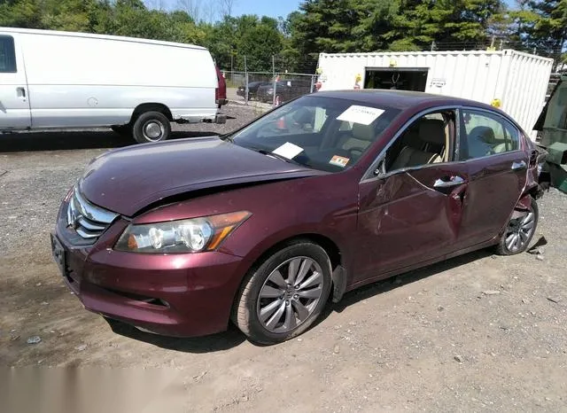 1HGCP3F88BA029283 2011 2011 Honda Accord- 3-5 Ex-L 2