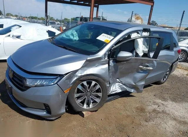 5FNRL6H68RB043882 2024 2024 Honda Odyssey- Ex-L 2