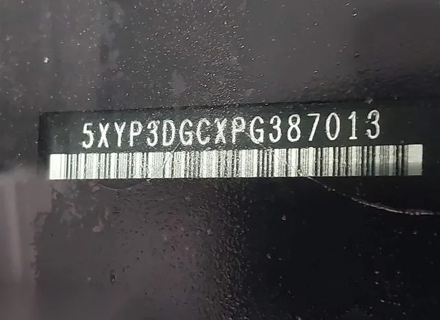 5XYP3DGCXPG387013 2023 2023 KIA Telluride- Ex X-Line 9