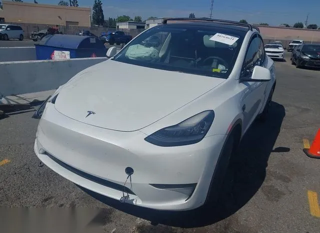 5YJYGDEE8MF095697 2021 2021 Tesla Model Y- Long Range Dual 2