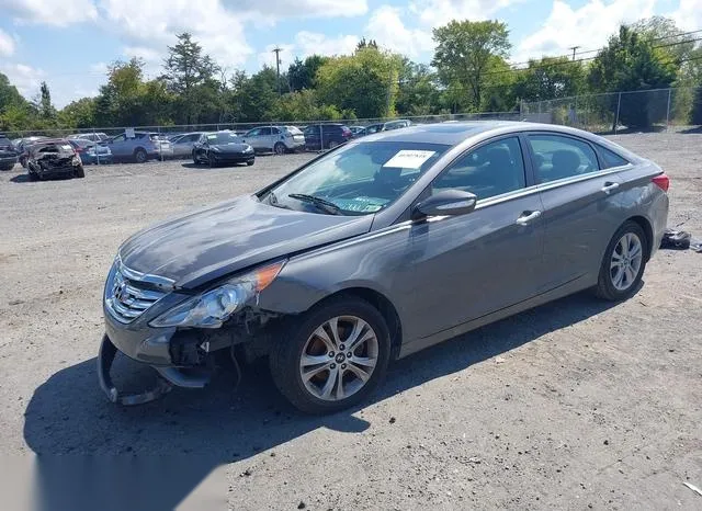 5NPEC4AC6BH174206 2011 2011 Hyundai Sonata- Limited 2