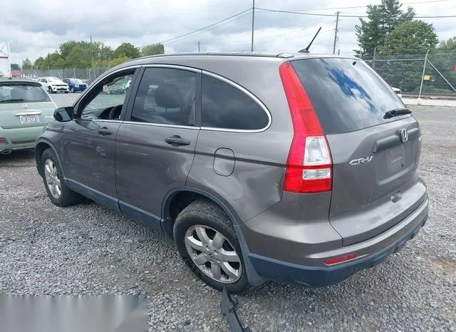 5J6RE4H41BL110395 2011 2011 Honda CR-V- SE 3