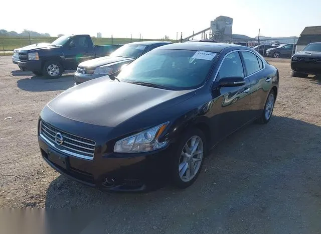 1N4AA5AP9BC831854 2011 2011 Nissan Maxima- 3-5 SV 2