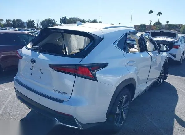 JTJGJRDZXM2168437 2021 2021 Lexus NX- 300H 4