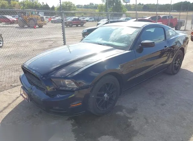 1ZVBP8AM4E5231205 2014 2014 Ford Mustang- V6 2