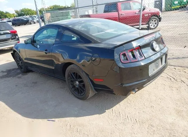 1ZVBP8AM4E5231205 2014 2014 Ford Mustang- V6 3