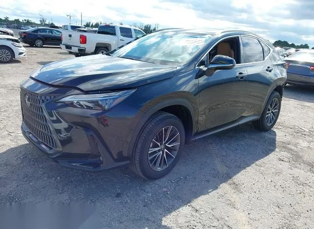 2T2GDCAZ6RC007504 2024 2024 Lexus NX 250- Premium 2