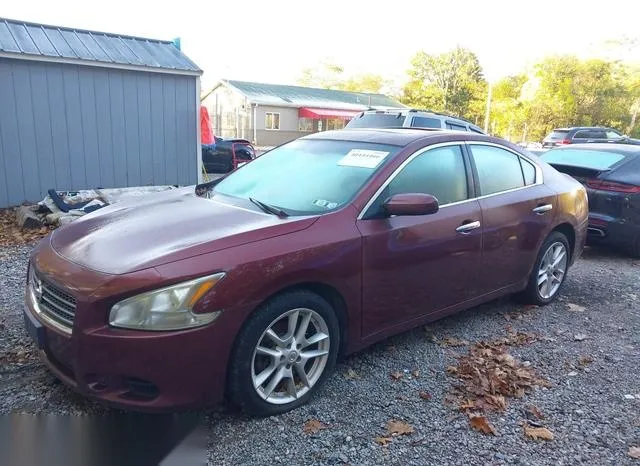 1N4AA5AP2BC835261 2011 2011 Nissan Maxima- 3-5 S 2