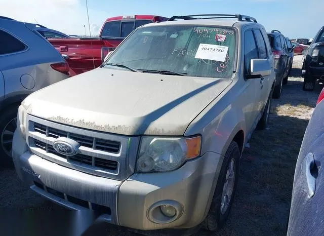 1FMCU0EG3BKA79058 2011 2011 Ford Escape- Limited 2