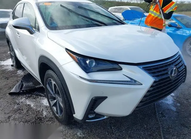 JTJGJRDZ0M2158841 2021 2021 Lexus NX- 300H 1