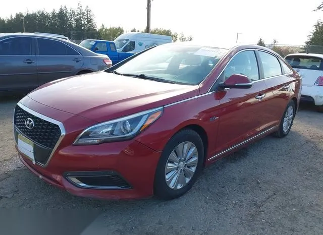 KMHE24L10GA012239 2016 2016 Hyundai Sonata- Hybrid SE 2