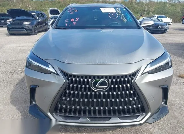 2T2GGCEZ0RC053704 2024 2024 Lexus NX 350- Premium 6