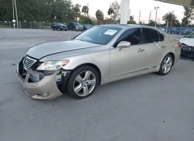 JTHBL5EF6C5111538 2012 2012 Lexus LS- 460 2