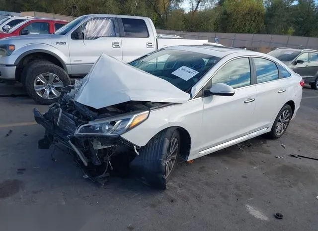 5NPE34AF3GH436085 2016 2016 Hyundai Sonata- Sport 2