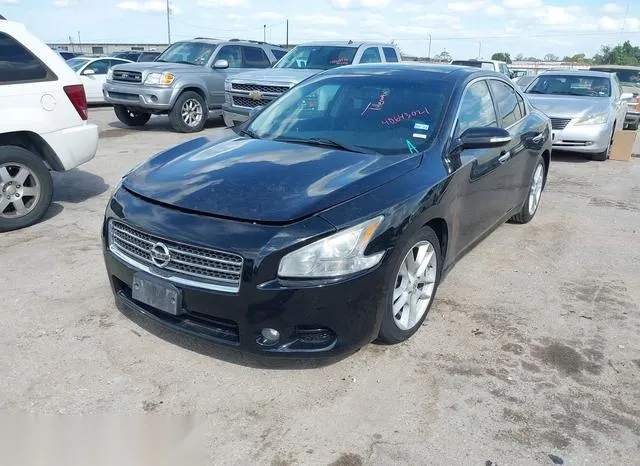 1N4AA5AP1BC850916 2011 2011 Nissan Maxima- 3-5 SV 2