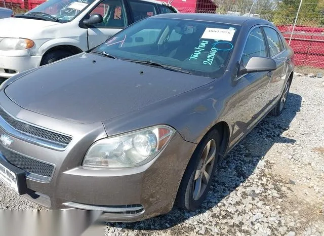 1G1ZC5E14BF202667 2011 2011 Chevrolet Malibu- 1LT 2