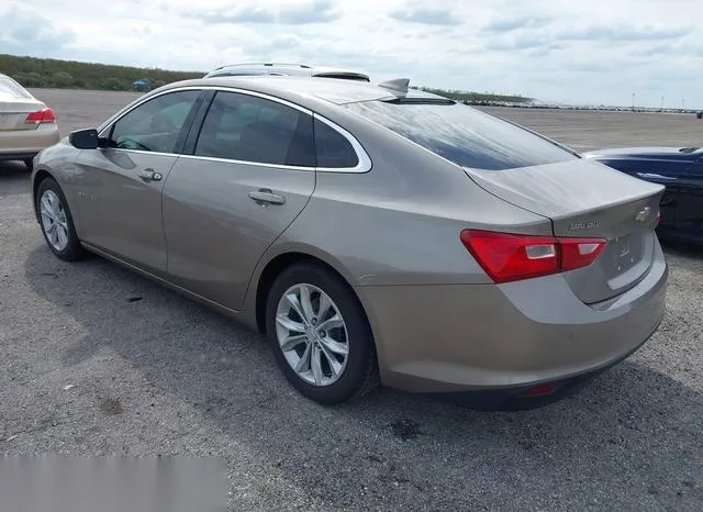 1G1ZD5ST8PF117728 2023 2023 Chevrolet Malibu- Fwd 1Lt 3