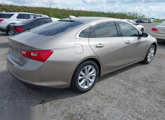 1G1ZD5ST8PF117728 2023 2023 Chevrolet Malibu- Fwd 1Lt 4