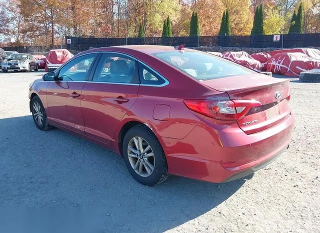 5NPE24AF6GH393946 2016 2016 Hyundai Sonata 3