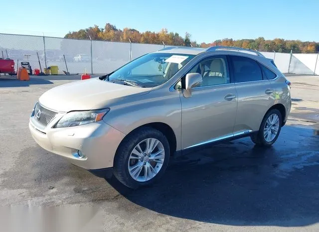 JTJBC1BAXA2020206 2010 2010 Lexus RX- 450H 2