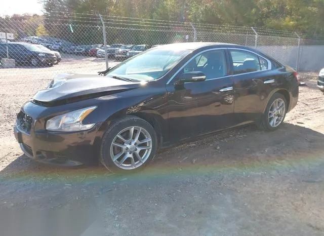 1N4AA5AP9AC834509 2010 2010 Nissan Maxima- 3-5 SV 2