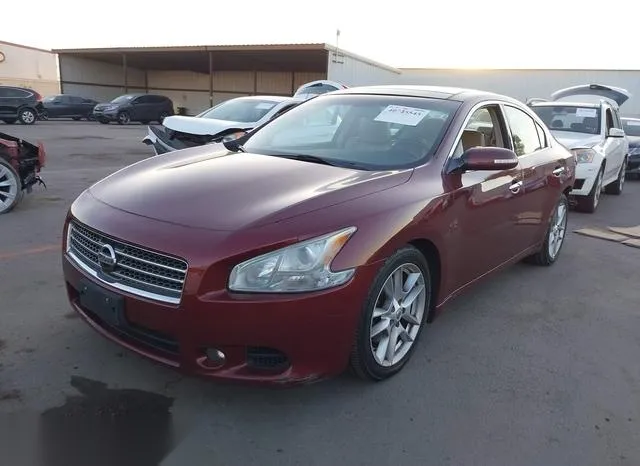 1N4AA5AP1AC869674 2010 2010 Nissan Maxima- 3-5 SV 2