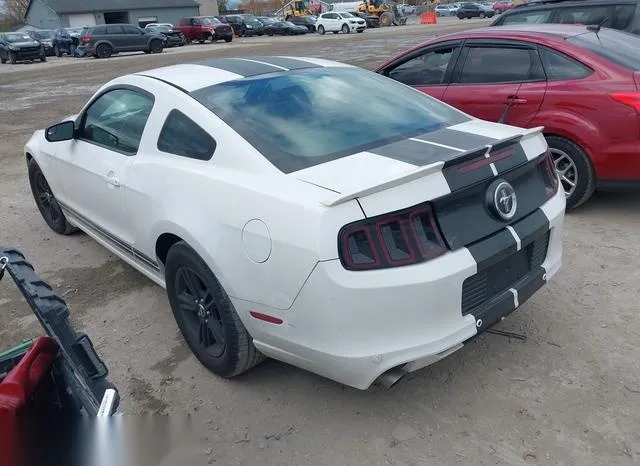 1ZVBP8AM7D5275388 2013 2013 Ford Mustang- V6 3