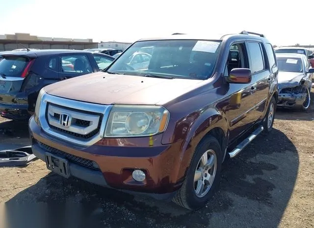 5FNYF3H55BB047631 2011 2011 Honda Pilot- Ex-L 2