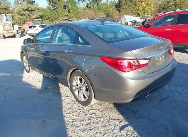 5NPEC4AC6DH807029 2013 2013 Hyundai Sonata- Limited 3