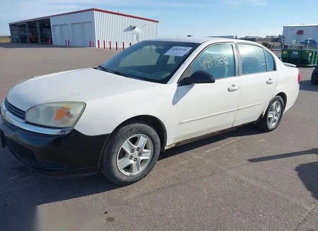 1G1ZT52885F281363 2005 2005 Chevrolet Malibu- LS 2