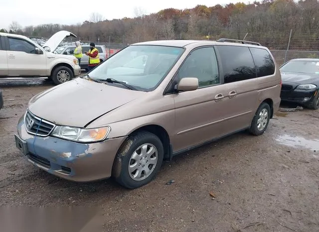 5FNRL18033B059400 2003 2003 Honda Odyssey- Ex-L 2