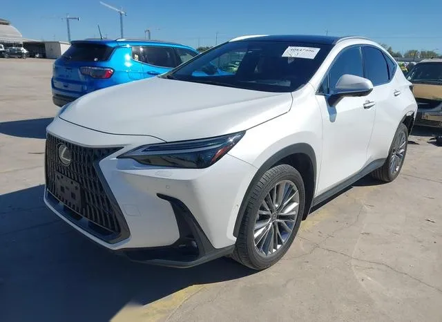 JTJHKCEZXN5004487 2022 2022 Lexus NX 350H- Luxury 2