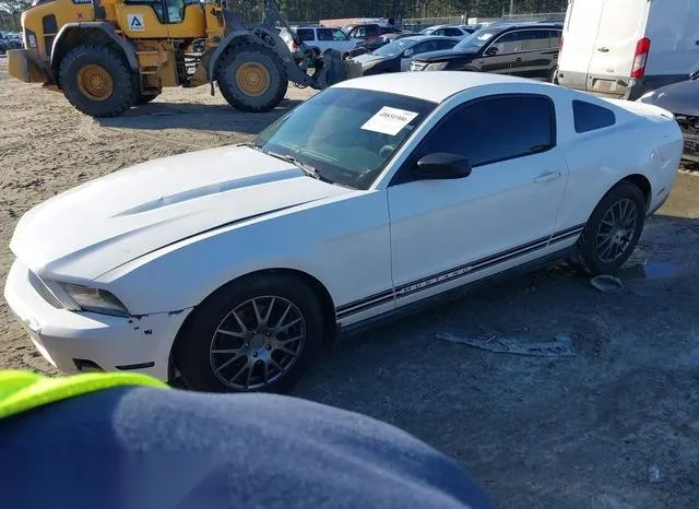 1ZVBP8AM8B5155399 2011 2011 Ford Mustang- V6 2