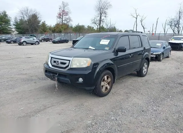 5FNYF4H55AB034611 2010 2010 Honda Pilot- Ex-L 2