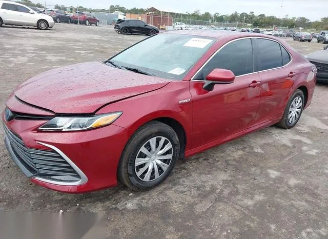 4T1C31AK7MU566368 2021 2021 Toyota Camry- Le Hybrid 2