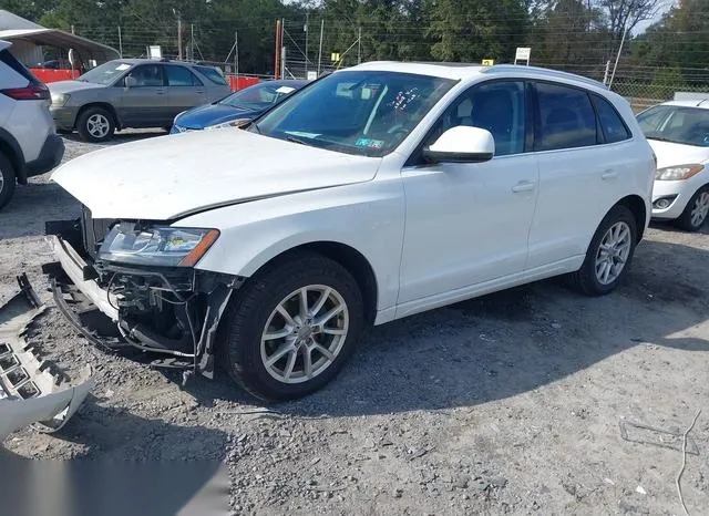 WA1CFAFP0CA115065 2012 2012 Audi Q5- 2-0T Premium 2