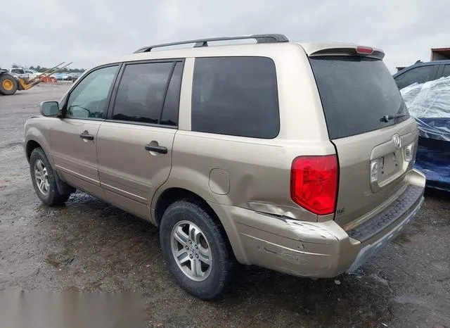 5FNYF18525B005314 2005 2005 Honda Pilot- Ex-L 3