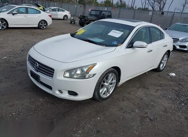 1N4AA5APXBC845651 2011 2011 Nissan Maxima- 3-5 SV 2