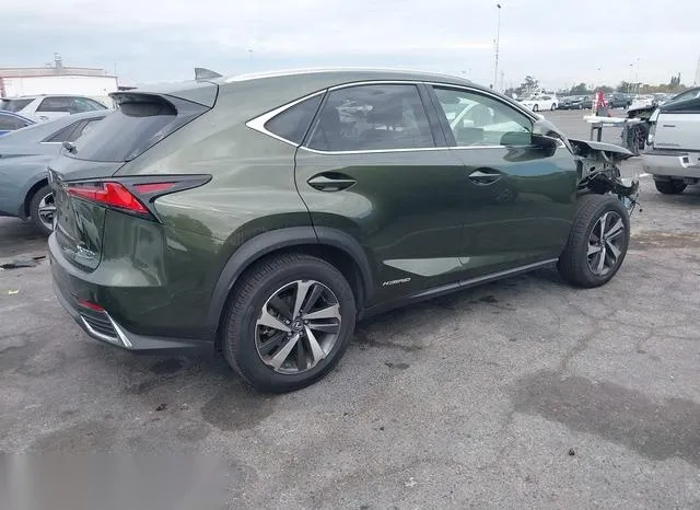 JTJGJRDZ1M2152062 2021 2021 Lexus NX- 300H 4