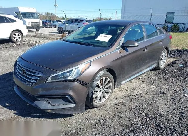 5NPE34AF5GH333718 2016 2016 Hyundai Sonata- Sport 2