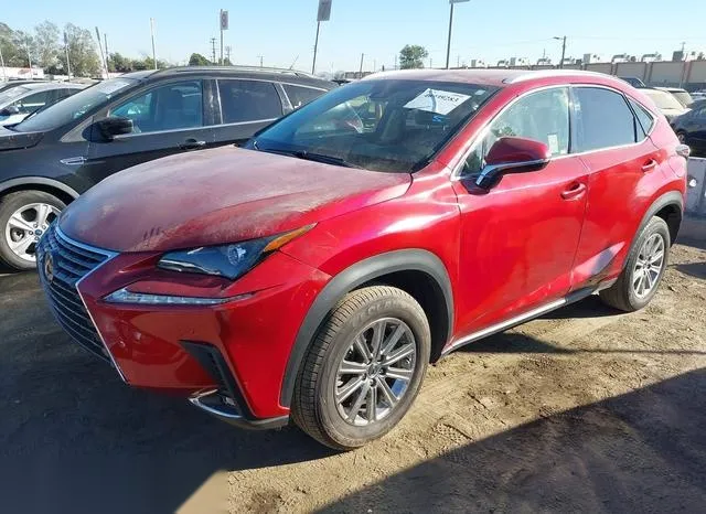 JTJDJRDZXM5013839 2021 2021 Lexus NX- 300H Base 2