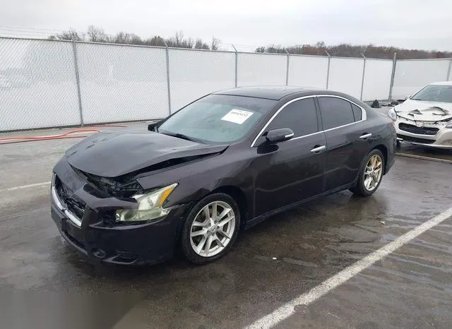 1N4AA5AP0BC841446 2011 2011 Nissan Maxima- 3-5 SV 2