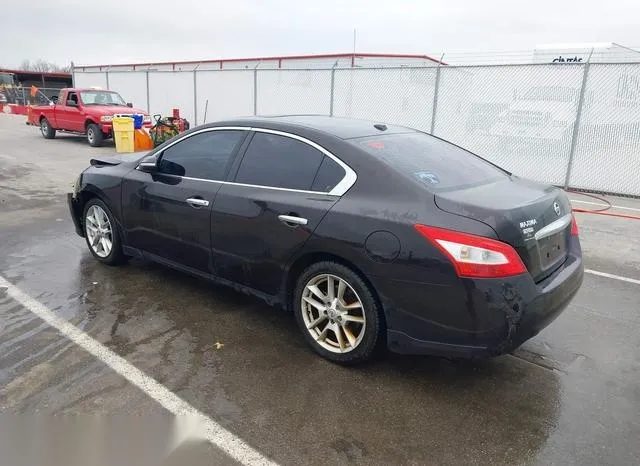 1N4AA5AP0BC841446 2011 2011 Nissan Maxima- 3-5 SV 3