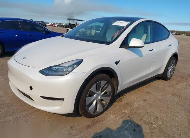 5YJYGDEE7MF262440 2021 2021 Tesla Model Y- Long Range Dual 2