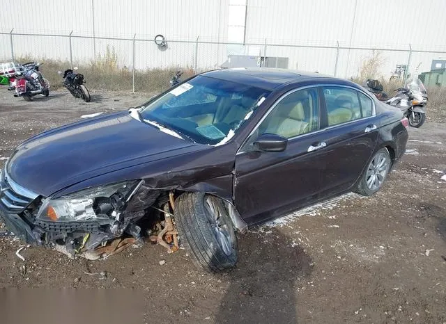 1HGCP3F8XBA005454 2011 2011 Honda Accord- 3-5 Ex-L 2