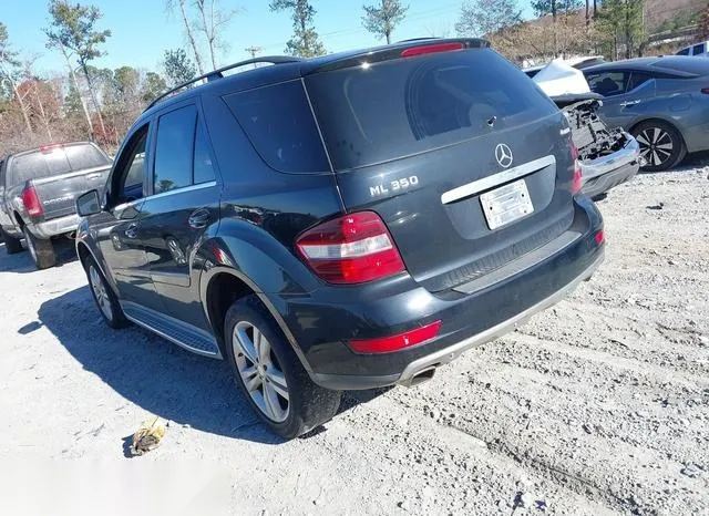 4JGBB8GB4BA730169 2011 2011 Mercedes-Benz ML 350- 4Matic 3