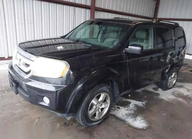 5FNYF48589B007706 2009 2009 Honda Pilot- Ex-L 2