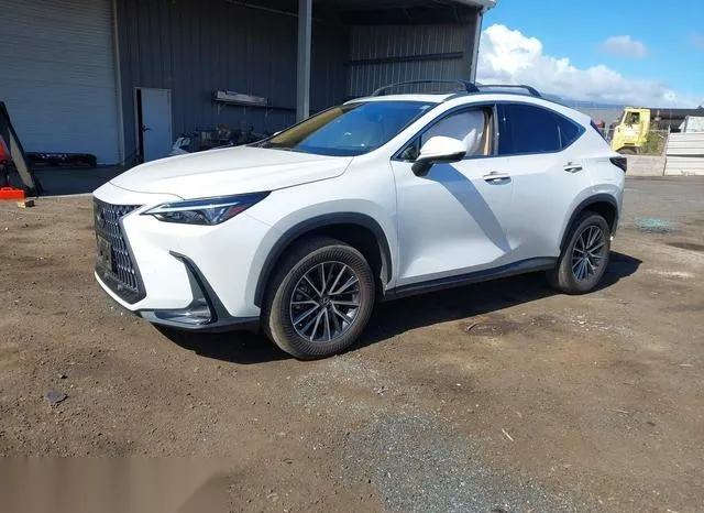 JTJGDCAZ0N5001223 2022 2022 Lexus NX 250- Premium 2