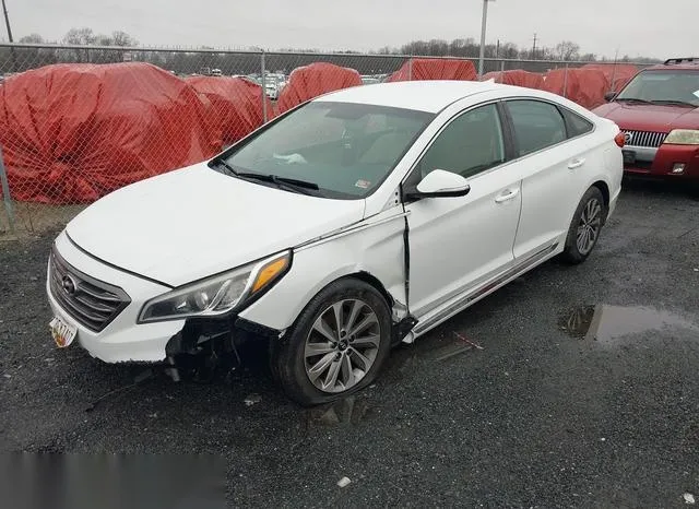 5NPE34AF3GH312141 2016 2016 Hyundai Sonata- Sport 2