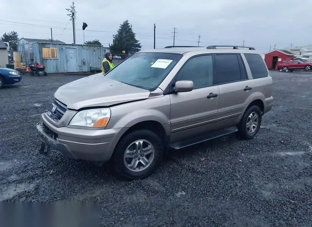 2HKYF18545H504911 2005 2005 Honda Pilot- Ex-L 2